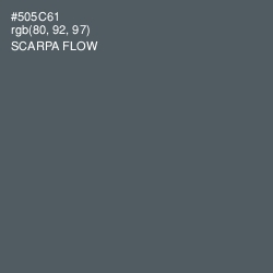 #505C61 - Scarpa Flow Color Image